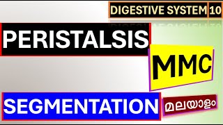 Peristalsis Malayalam Segmentation and MMC GI movements Malayalam Digestive System Malayalam [upl. by Tohcnarf]