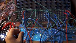 Wiard 300 Synth  Spring Reverb Music Thing Modular [upl. by Duomham]