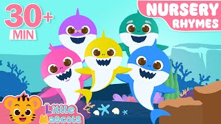 Baby Shark  Baa Baa Black Sheep  more Little Mascots Nursery Rhymes amp Kids Songs [upl. by Hgielrebmik]