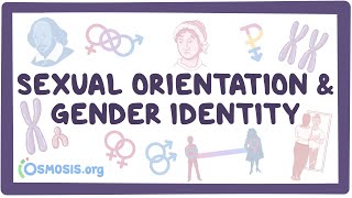 Sexual orientation and gender identity [upl. by Eidolem]