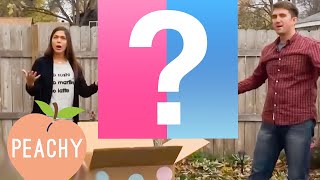 100 Funny Baby Gender Reveals  Part 1  Cute Family Compilation [upl. by Boleyn894]