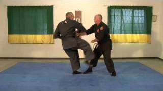 Genbukan Ninpo  South Africa  TaiJutsu demonstration [upl. by Anoli164]