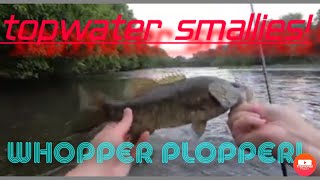 Topwater smallmouth fishing the nolichucky river [upl. by Enecnarf]