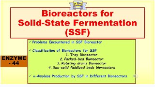 Bioreactors for SolidState Fermentation SSF  Alpha amylase production in Bioreactor  Enzyme 45 [upl. by Ynnek]