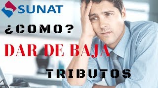 Dar de Baja tributos afectos a la Planilla de Remuneraciones [upl. by Yziar]