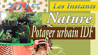 Potager urbain fin mai 2017 [upl. by Lleira]