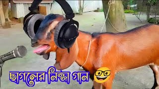 ছাগলের কন্ঠে গান শুনে হতাশ হলাম 😆😭 ll Funny chagol song ll [upl. by Gautier]