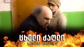 ცხელი ძაღლი  სეზონი 1 სერია 6 [upl. by Petronille]