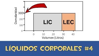 Líquidos corporales 4 💧 Osmolaridad [upl. by Boeke803]