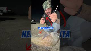 Aguja GIGANTE para SALVAR este PEZ 😱💉⁉️ fishing pesca howto [upl. by Anne-Marie]