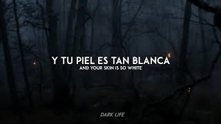 Miike Snow  Silvia Sub Español Lyrics [upl. by Giffy]