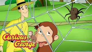 George Learn about Spiders 🐵 Curious George 🐵 Kids Cartoon 🐵 Kids Movies [upl. by Elcarim]