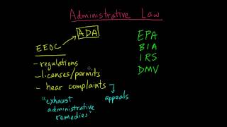 Administrative Law [upl. by Kerwinn537]