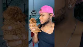 1010 Transition poodle puppy transition viralvideo [upl. by Kellene]