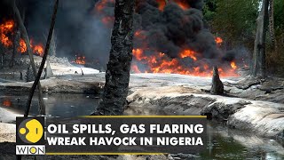 Oil spills gas flaring wreak havock in Nigerias Delta  World news  WION [upl. by Otecina]