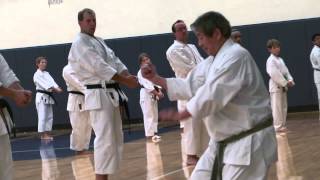 Bassai Dai Taught by Master Yano 8th Dan JKA 1 [upl. by Nwahsram]