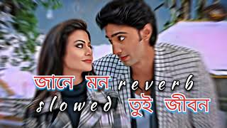 Jane Mon  Paglu  Dev Koel Mallick  Jeet Gannguli  Rajib Kumar  256k Audio Quality trending [upl. by Khichabia]