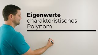 Eigenwerte Charakteristisches Polynom Matrizen Abbildungen  Mathe by Daniel Jung [upl. by Eerrahs]