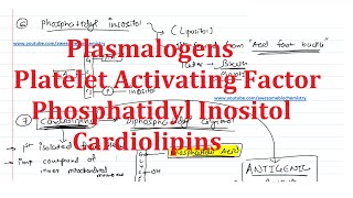 20 Plasmalogens Platelet Activating Factor Phosphatidyl Inositol Lipositol Cardiolipins [upl. by Aerdnak]