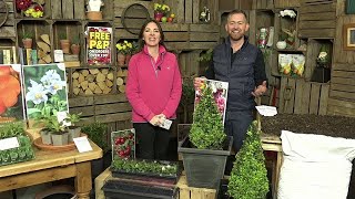 You Garden Live Shopping  Thursday 11th January 1000 [upl. by Bedell]