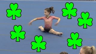 Harford Trophy Meet 2017  Hayley LeBlanc  Level 3 6 [upl. by Loise]