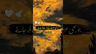 23 Saal Ka Hon Aur Hath Kanpty Hai  Afkar Alvi poetry shorts [upl. by Nomolos]