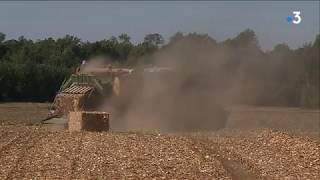 Sécheresse  Les agriculteurs de HauteSaône ont besoin de 1000 tonnes de paille [upl. by Novoj]