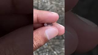 White Sapphire 405 ct sapphire srilanka india gemstone [upl. by Grania]