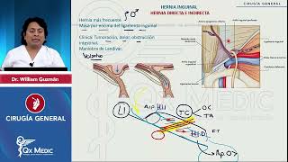 HERNIAS GENERALIDADES INGUINAL CRURAL UMBILICAL EPIGÁSTRICA ESPECIALES  2024 QX MEDIC [upl. by Carmena]