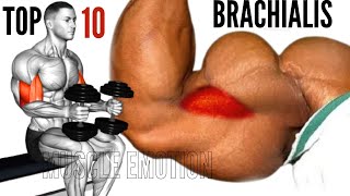 TOP 10 BEST BBRACHIALIS WORKOUT TO GET THICKNESS ARMS AT GYM [upl. by Orelee271]