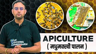 Apiculture  Honeybee Farming  Bee Keeping [upl. by Nimoynib331]