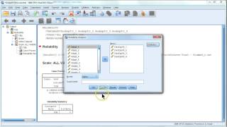 How to improve reliability Cronbachs Alpha [upl. by Attezi12]