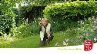 Bayer Jardin TV  Désherber le gazon [upl. by Ced]