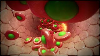 Pulmonary Function [upl. by Ole328]