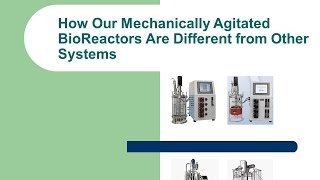 MA Series Mechanically Agitated BioReactor Systems [upl. by Franza]