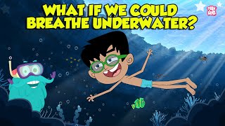 What If We Could Breathe Underwater  Humans with Superpowers  Super Freedivers  Dr Binocs Show [upl. by Arbe463]