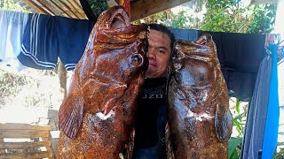 MARBLED GROUPER SEASON  SPEARFISHING PHILIPPINES  BANTON ROMBLON😱 [upl. by Artcele]