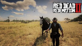 Arthur Morgan Exploring New Austin With Baylock Free Roam Red Dead Redemption 2  RTX 2080 S [upl. by Haskins311]