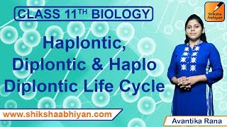 Haplontic  Diplontic  HaploDiplontic  Life Cycle Patterns in Plants [upl. by Nonna293]