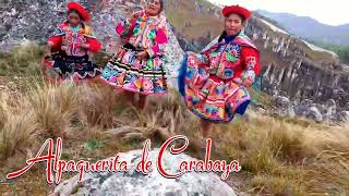 ðŸŽ¼ðŸ’ž Alpaquerita de carabaya ðŸŽ¼ðŸŽ¶ maypicha tutayawanqa ðŸŽ¼ðŸŽ¶ðŸ’• [upl. by Edee562]