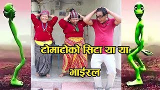 Dame Tu Cosita  Silauta ma pisda  Tomato ko sita  Nepali version  नेपाली एलियन डान्स [upl. by Nesmat685]