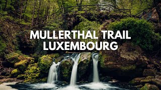 Solo Hiking the Mullerthal Trail In Luxembourg [upl. by Ialocin]