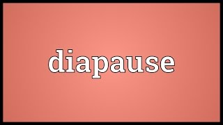 Diapause Meaning [upl. by Barthelemy]