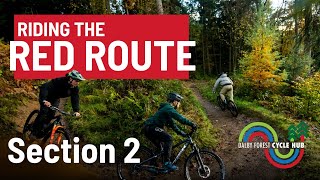 Mountain Biking In Dalby Forest Red Route – Section 2 [upl. by Coffeng]