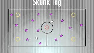 PE Games  Skunk Tag [upl. by Ecinue]