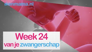 24 weken zwanger  ikenmamanl [upl. by Velleman]