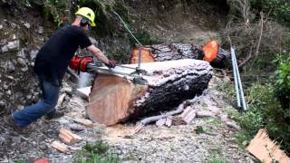 How to mill a tree using an Alaskan Chainsaw mill [upl. by Anitnatsnok]