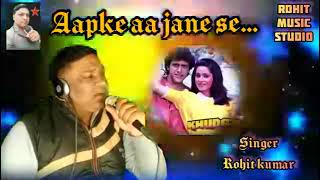 Aapke Aa Jane Se  Khudgarz  Govinda amp Neelam  Mohammad Aziz amp Sadhna Sargam  Cover Song [upl. by Nnalyrehc]