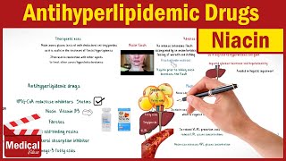 Pharmacology CVS 30 Antihyperlipidemic Drugs 2 Niacin Mechanism Of Action Uses Side Effects [upl. by Drape]