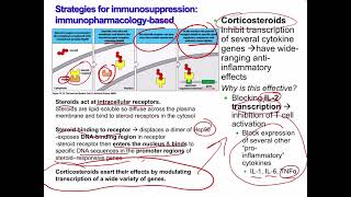 Lecture 21 Immunotherapy [upl. by Isaacson]